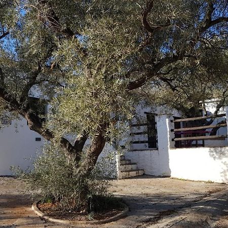 Gateway To The Alpujarras, 'Cortijo Derry' Hotel Orgiva Exterior photo